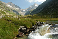 Val Strem
