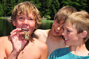 Krebse zum Nachtisch ...