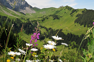 Unser Ziel am Ende des Tals