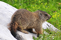 Unser Aufstieg wurde beobachtet