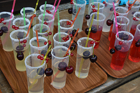 Das Begrüssungsapero